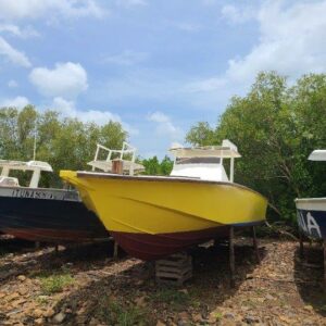 Coque Tropical Boat. Neuve. Pas immatricule