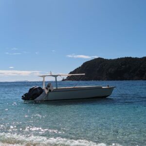 Coque Vandamme/Tropical Boat