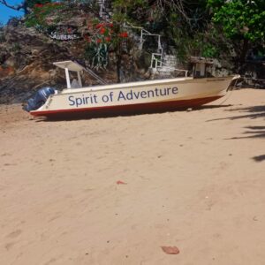 Bateau d’excursion
